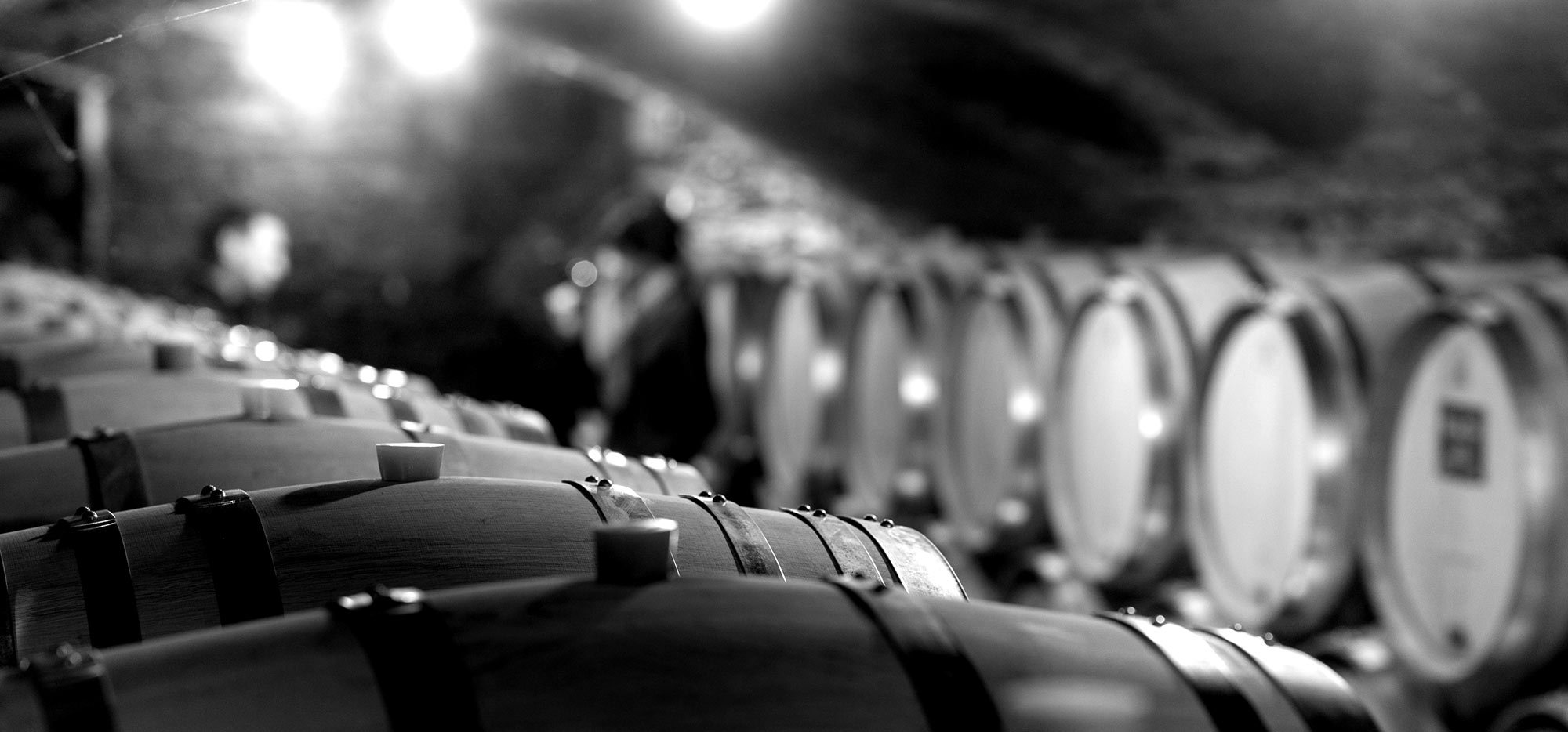 Contact David Moreau Burgundy Wine